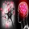 Hepatic-Diseases-1OSvT