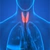 Endocrine-Disease-NsALj